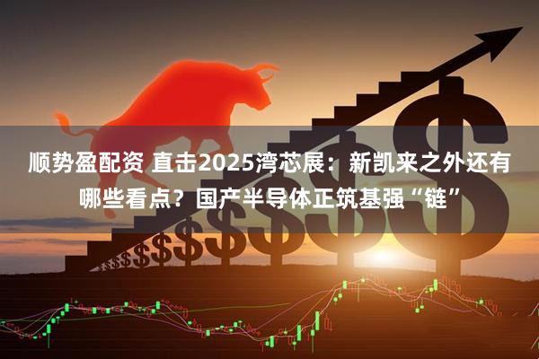 顺势盈配资 直击2025湾芯展：新凯来之外还有哪些看点？国产半导体正筑基强“链”