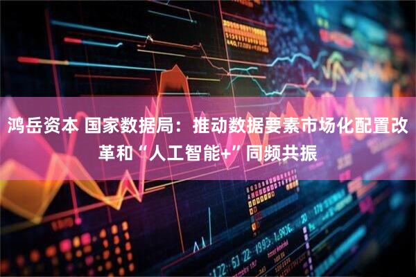 鸿岳资本 国家数据局：推动数据要素市场化配置改革和“人工智能+”同频共振