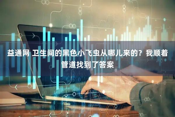 益通网 卫生间的黑色小飞虫从哪儿来的？我顺着管道找到了答案